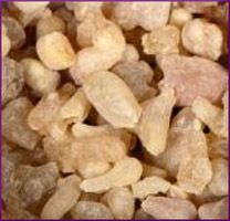 Frankincense Essential Oil