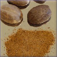 Nutmeg Essential Oil